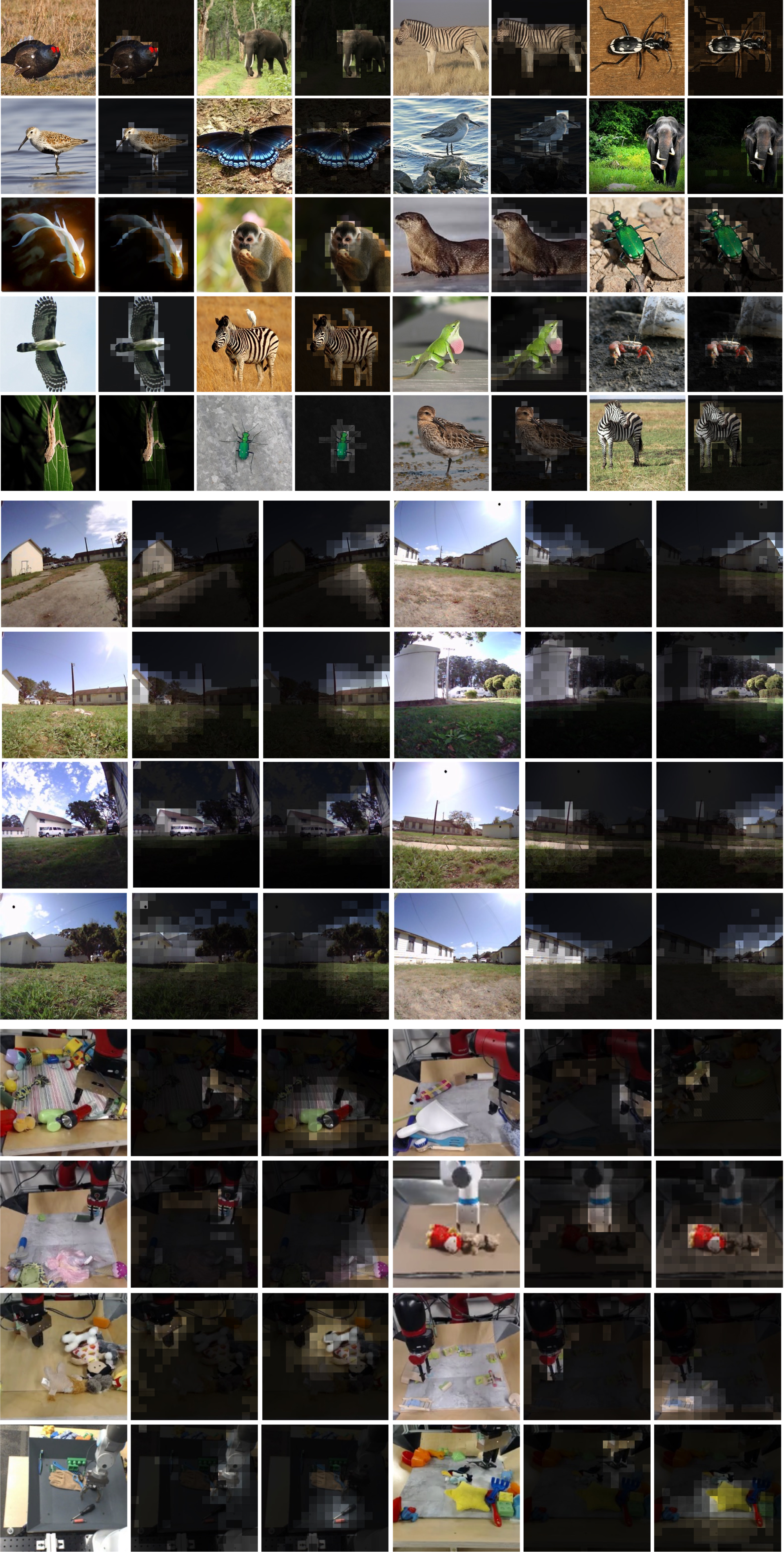 Attention visualization for compact latent tokens